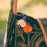 Mocha bird pattern Miao embroidery crossbody bag