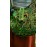 Green bird embroidered crossbody bag