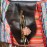 Vintage Bohemian Tassel Crossbody Bag